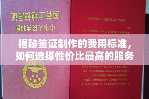 北塔揭秘签证制作的费用标准，如何选择性价比最高的服务？