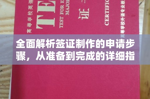 北塔全面解析签证制作的申请步骤，从准备到完成的详细指南