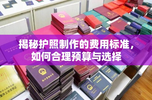 北塔揭秘护照制作的费用标准，如何合理预算与选择